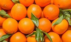 Bagaj parası ödememek için 30 kg portakalı yediler!