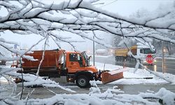 Bolu Dağı'nda kar yağışı etkili oluyor