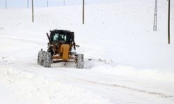Doğu Anadolu'da 992 yerleşim birimine ulaşım sağlanamıyor
