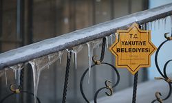 Doğu Anadolu'da dondurucu soğuklar etkisini sürdürüyor