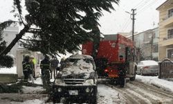Düzce'de yoğun kar yağışı nedeniyle arazi aracının üzerine ağaç devrildi