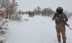 Eren-2 Lice operasyonu başlatıldı