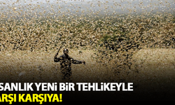 İnsanlık yeni bir tehlikeyle karşı karşıya!