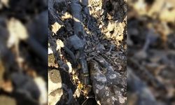 Irak'ın kuzeyinde terör örgütü PKK'ya ait çok miktarda mühimmat ele geçirildi