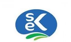 Koç holding, kendi piyasasının dev markalarından 'Sek Süt'ü sattı!