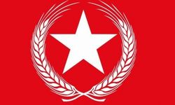 Perinçek'in başkanı olduğu Vatan Partisi’nden 'istifa' açıklaması
