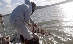Terkos Gölü'nde yasa dışı ticari balık avcılığına yönelik denetim yapıldı