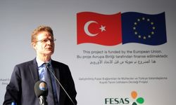 AB Türkiye Delegasyonu Başkanı Meyer-Landrut'tan 'Gara' açıklaması