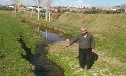 Adana'da balık ölümlerinin olduğu derede inceleme başlatıldı