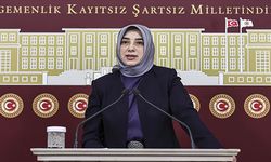 AK Partili Özlem Zengin'e sosyal medyadan hakarete soruşturma