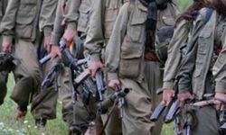 Terör örgütünün sakladığı gerçek örgütsel dokümanda çıktı