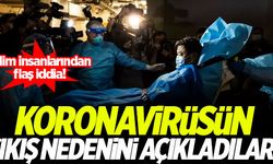 Bilim insanları koronavirüsün çıkış nedenini açıkladı!
