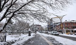 Bingöl'de kar ve tipi nedeniyle 262 yerleşim yerine ulaşım sağlanamıyor