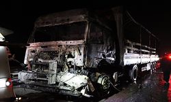 Bursa'da içerisinde kimyasal maddelerin bulunduğu tır yandı
