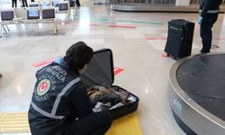 Denizli Çardak Havalimanı'nda 1 kilo 584 gram sentetik uyuşturucu ele geçirildi
