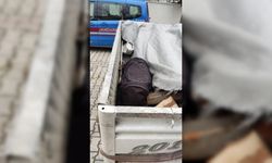 Denizli'de yardım bahanesiyle girdikleri evden 2 bin lira çalan 3 zanlı yakalandı