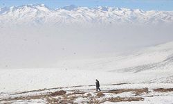 Doğu Karadeniz ve Doğu Anadolu için çığ uyarısı
