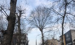 Doğu Marmara ve Batı Karadeniz'de cadde ve sokaklarda sessizlik hakim