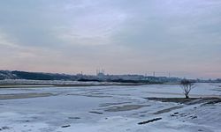 Edirne'de soğuk hava nedeniyle nehir kenarındaki tarlalar buz tuttu