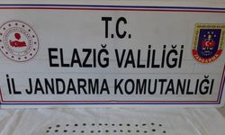 Elazığ'da 103 sikke ve bronz objeyi satmak isteyen kişi yakalandı