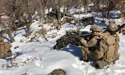Eren-11 Sehi Ormanları Operasyonu başladı