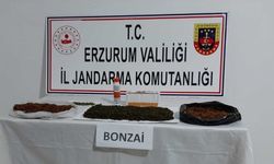 Erzurum'da uyuşturucu operasyonlarında yakalanan 3 zanlı tutuklandı