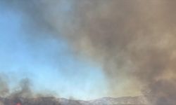 Kaş'ta sazlık alanda çıkan yangın seraları tehdit ediyor