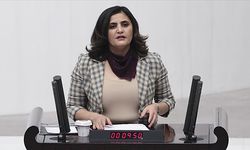 HDP Milletvekili Dirayet Dilan Taşdemir hakkında soruşturma başlatıldı