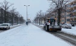 Hollanda’da kar fırtınası hayatı olumsuz etkilemeye devam ediyor