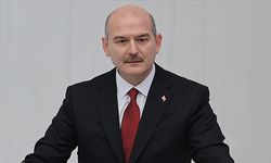 İçişleri Bakanı Soylu, Gara'ya giden HDP'li vekili açıkladı