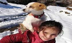 Küçük kızın sırtında taşıyıp veterinere götürdüğü köpeğine kulübe ve mama desteği