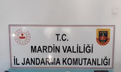 Mardin'de PKK'lı teröristlerin kullandığı 14 depo kullanılamaz hale getirildi