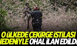 O ülkede çekirge istilası nedeniyle OHAL ilan edildi