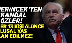 Perinçek'ten skandal sözler! "Öyle her 13 kişi öldüğü zaman ulusal yas olmaz"