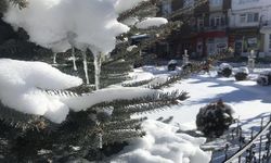 Sivas sıfırın altında 27,1 dereceyle Türkiye'nin en soğuk ili oldu