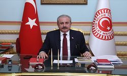 TBMM Başkanı Şentop'tan anayasa mesajı