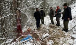 Tüfekle vurdukları hamile karacanın derisini yüzerken yakalandılar!