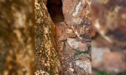 Tunceli'de teröristlerce kullanılan 3 sığınak imha edildi