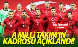 A Milli Takım'ın aday kadrosu açıklandı