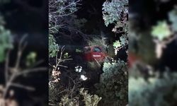 Antalya'da kamyonet uçuruma devrildi: 1 ölü, 4 yaralı