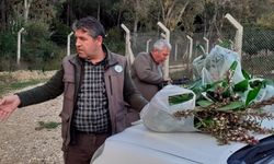 Antalya'da koruma altındaki orkideleri toplayan 2 kişiye 160 bin 930 lira ceza kesildi