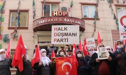 Diyarbakır'da evlat nöbetine bir aile daha katıldı