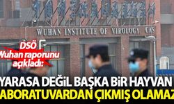 DSÖ açıkladı: Yarasa değil başka bir hayvan... Laboratuvardan çıkma ihtimali düşük...