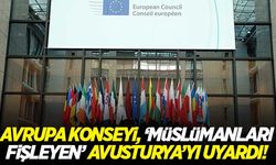 Avrupa Konseyi, 'Müslümanları fişleyen' Avusturya'yı uyardı!
