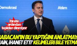 ''Babacan'ın bu yaptığını anlatmaya 'hain, ihanet etti' kelimeleri bile yetmez''
