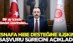 Bakan Muş, esnafa hibe desteğine ilişkin başvuru sürecini açıkladı