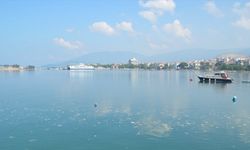 Balıkesir'in Güney Marmara sahilini kaplayan deniz salyası rüzgarın etkisiyle dağılmaya başladı