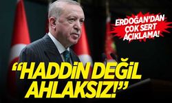 Cumhurbaşkanı Erdoğan'dan Akşener'e: Haddin değil ahlaksız!