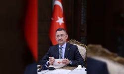 Oktay, 'Dijitalleşme ve Gençlerimizin Geleceğine Yatırım' başlıklı webinarda konuştu