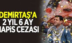 Demirtaş'a 2 yıl 6 ay hapis cezası